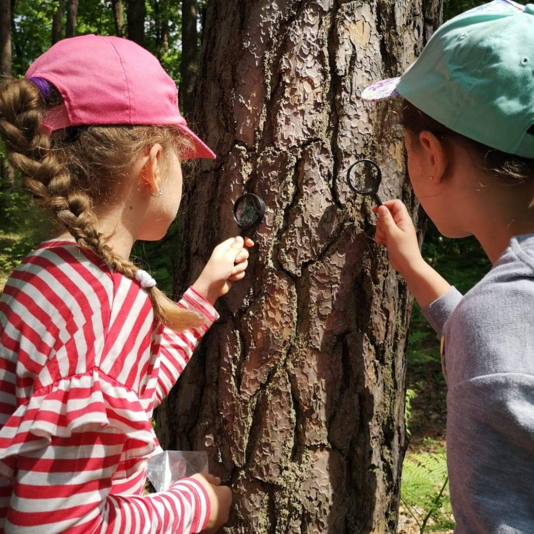 dzieci obserwujące drzewo przez lupę