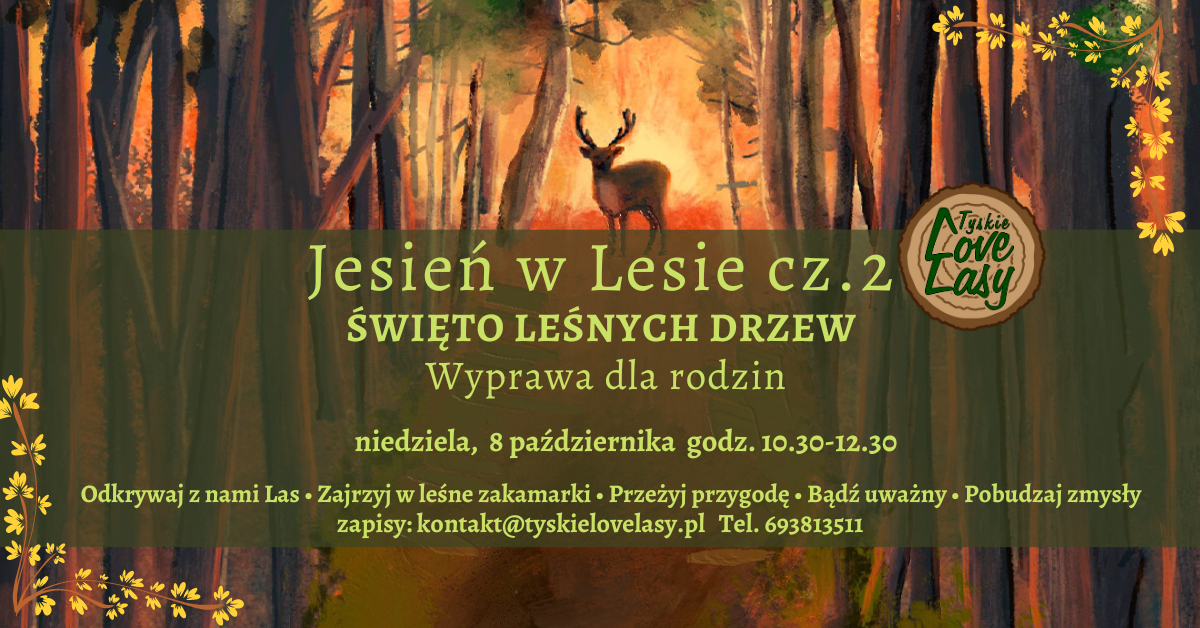 Jesień w Lesie cz.2 ŚWIĘTO LEŚNYCH DRZEW, Niedziela, 8 października, godz. 10.30 – 12.30