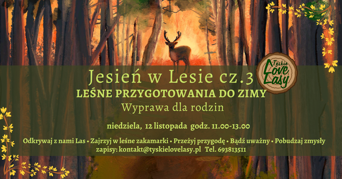 Jesień w Lesie cz.3 LEŚNE PRZYGOTOWANIA DO ZIMY – wyprawa dla rodzin. Niedziela, 12 listopada, godz. 11.00 – 13.00